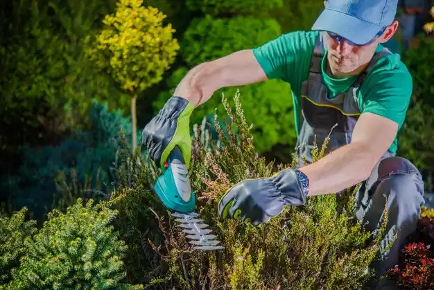 landscaping services Mount Vernon